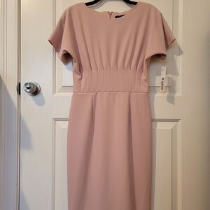 NWT! Antonio Melani Sheath Dress, Pink, Size 6